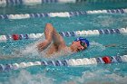 Swim vs Bentley  Wheaton College Swimming & Diving vs Bentley University. - Photo by Keith Nordstrom : Wheaton, Swimming & Diving